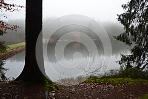 Lake sourrounded by a forest with reflection of trees on a foggy day