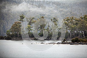 Lake St Clair Tasmania