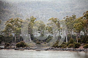 Lake St Clair Tasmania