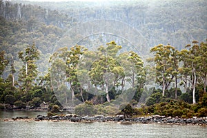 Lake St Clair Tasmania