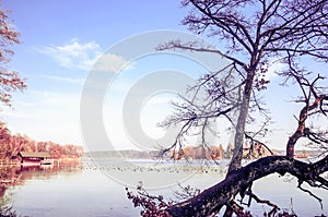 Lake Starnberg in autumn