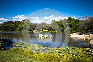 A lake in Stellenbosch, the vineyards and wine region near Cape Town, Southafrica