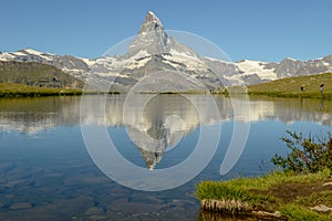 Lake Stellisee and mount Matterhorn at Zermatt on the Swiss Alps