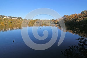 Lake at Stover Country Park, Devon
