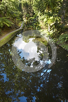 Lake, subtropical forest and pathway in Sao Jorge, Azores. Portu