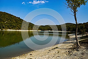 Lake Sukko, Krasnodar territory, Russia. Cypress grove in the waters of the lake. A fantastically beautiful lake in the mountains