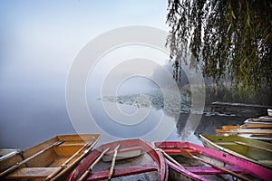 Lake at sunrise