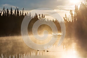 Lake on sunrise