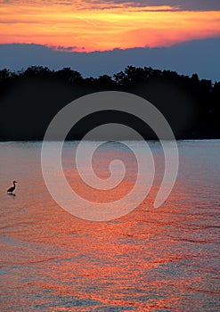 Lake Sunset with Blue Heron