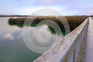 Lake at sunset, and long wooden boardwalk through the lake. Marsh plants, bushes, green forest, and cloudy sky