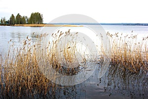 Lake at sunset summer day. Calm calm weather. Smooth water