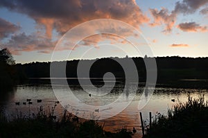 lake during sunset at trentham gardens