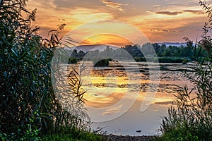 Jezero po západu slunce s vodní trávou v popředí. Krásné barevné nebe. Dubnica, Slovensko