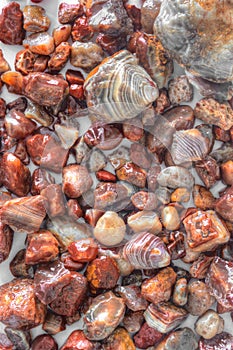 Lake Superior Agates are the State Gem of Minnesota