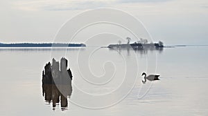 Lake Superior Landscape