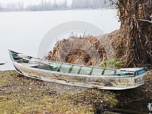 Lake Superior of Mantova Italy swamp with boat