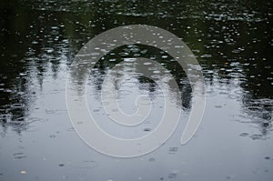 Lake surface during rain, with reflection of trees and sky. Water surface during rain. Rain drops are falling into the water