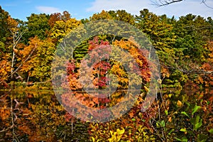 Lake surface reflecting fall forest foliage
