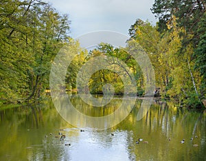 Lake surrounded by autumn forest