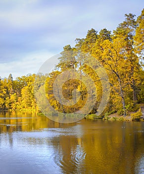 Lake surrounded by autumn forest