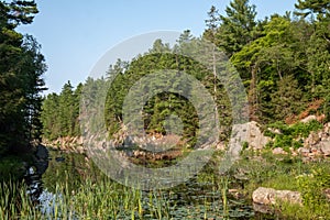 Lake surrounded by conifers in Sudbury, Ontario, Canada photo