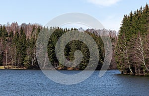 Lake Surrounded By Forest 