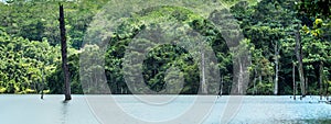 Lake surrounded by green forest in Loa Haur, Indonesia