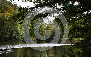 Lake surrounded by green trees on a fall day