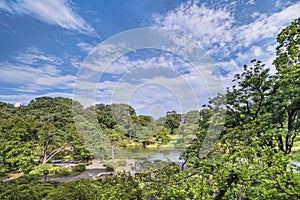 Lake surrounded by pines, maple and cherry trees under the blue