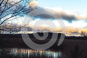 Lake surrounded by reeds before the dawn