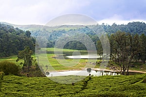 Lake surrounded by tea plantation in Bandung photo