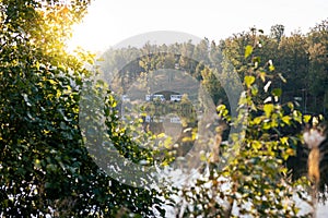 Lake surrounded by trees and minibuses driving in the background photo