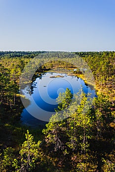 Lake on a swamp Viru Raba