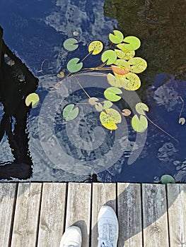 By a lake in Sweden