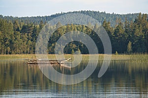 a lake in Sweden in Smalland. Blue water, sunny sky, green forests. Relaxation photo