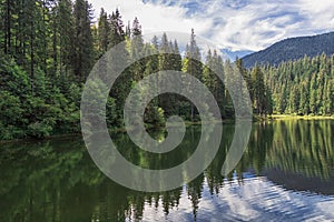 Lake Synevyr in Carpathian mountains, Ukraine. Beautiful mountain lake surrounded by dense green forest