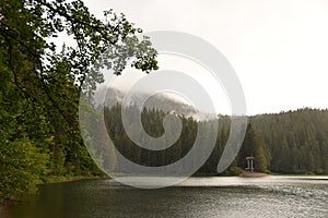 Lake Synevyr in the Ukrainian Carpathians mountains and forest in the fog around