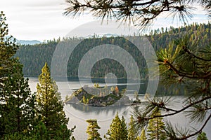 Lake Tahoe Fannette Island Framed by Trees