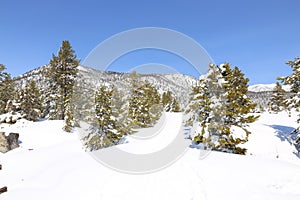 Lake Tahoe Scenic Winter Background