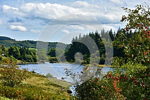 Lake Tal y Llyn in Snowdonia National Park, North Wales