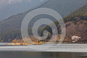 lake tanuki