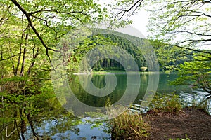 Lake Tanuki in Fujinomya City, Japan. Fuji-Hakone-Izu National Park