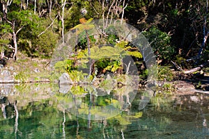 Lake Tarawera - Rotorua - Hotwater Beach