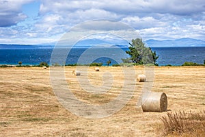 Lake Taupo New Zealand