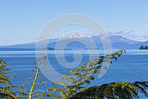 Lake Taupo view, New Zealand