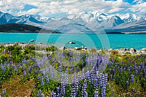 Lake Tekapo