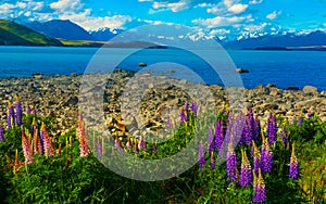 Lake Tekapo