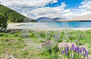 Lake Tekapo