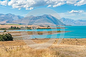 Mackenzie country in New Zealand photo