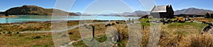 Lake Tekapo, New Zealand photo